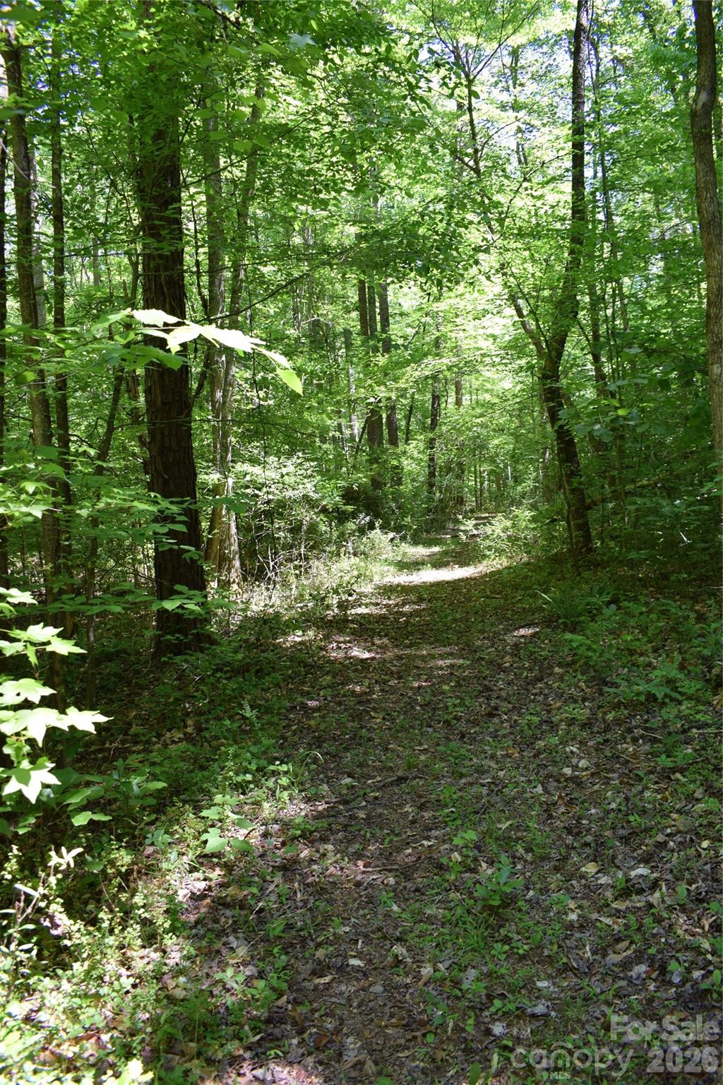 0 Floyd Blackwell Road Tryon NC 28722