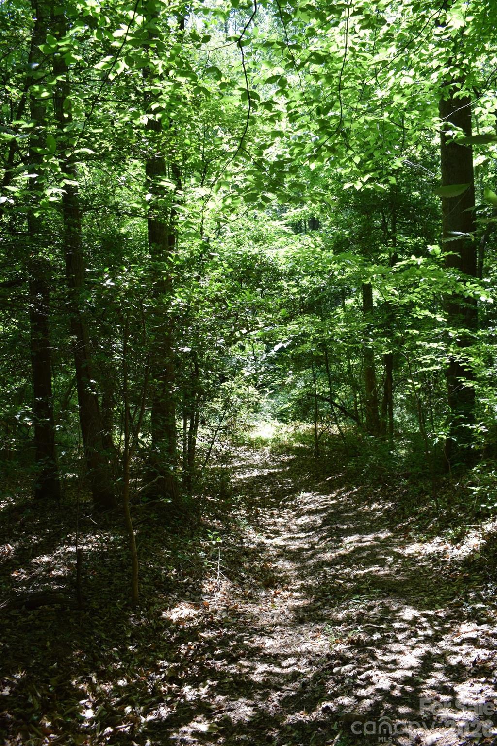 0 Floyd Blackwell Road Tryon NC 28722