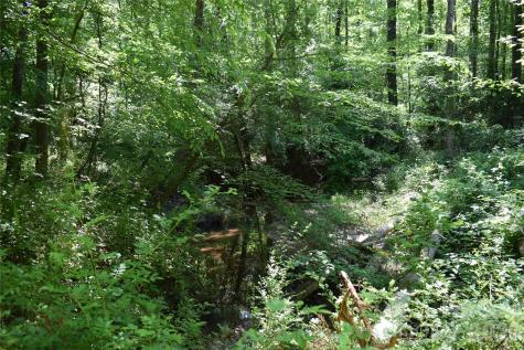 0 Floyd Blackwell Road Tryon NC 28722
