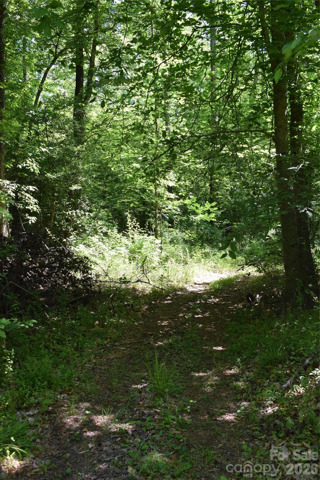 0 Floyd Blackwell Road Tryon NC 28722