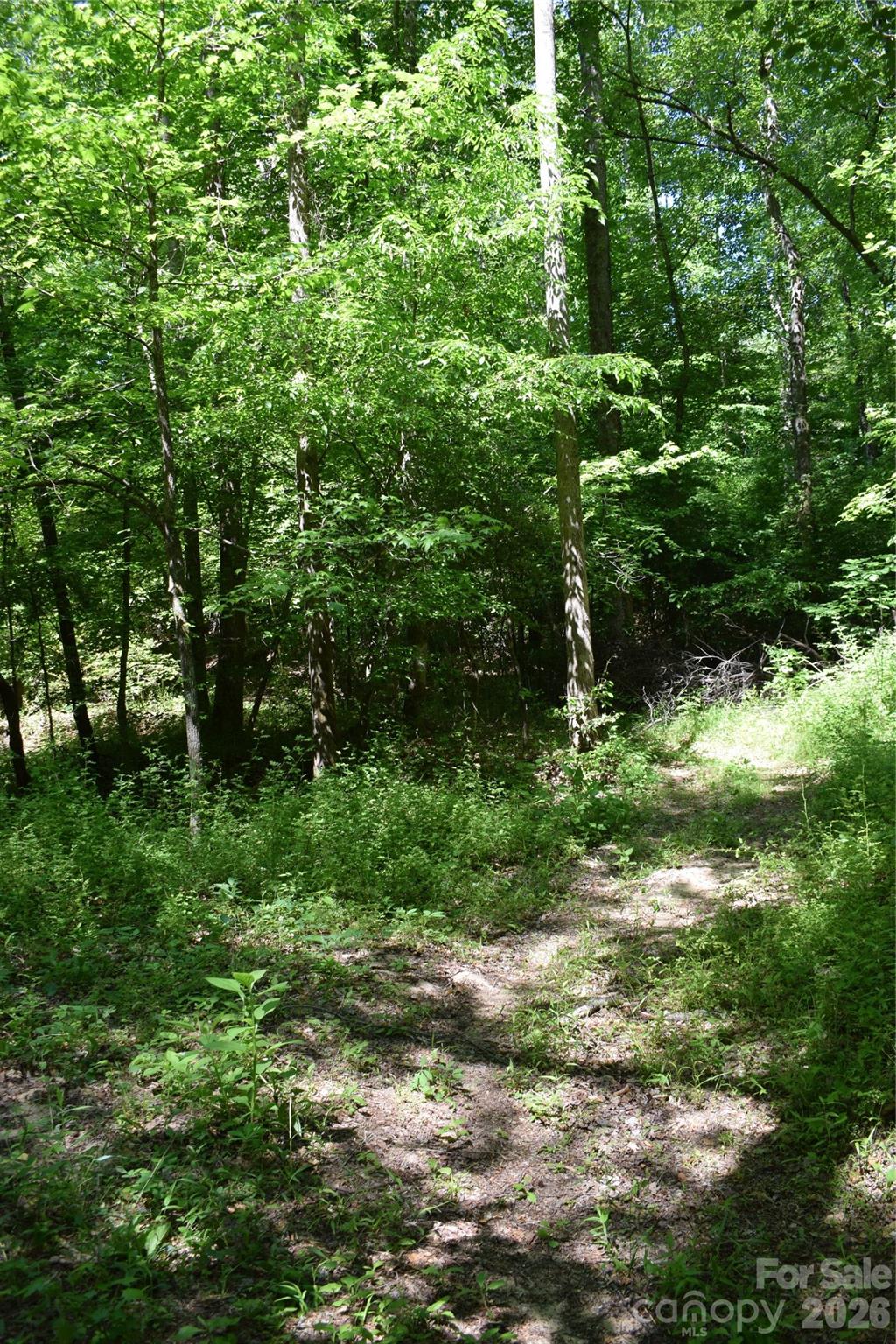 0 Floyd Blackwell Road Tryon NC 28722