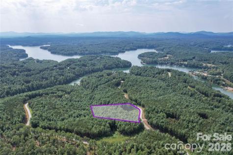 2377 Ivy Rays Way Nebo NC 28761