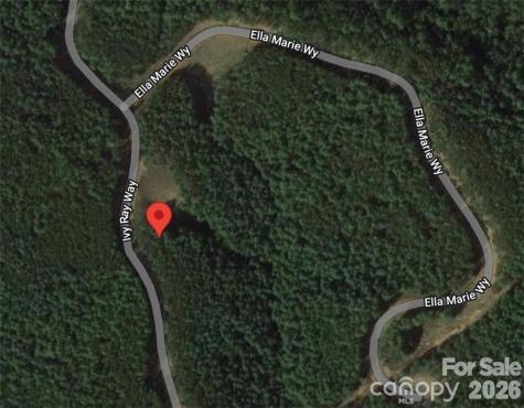 2377 Ivy Rays Way Nebo NC 28761