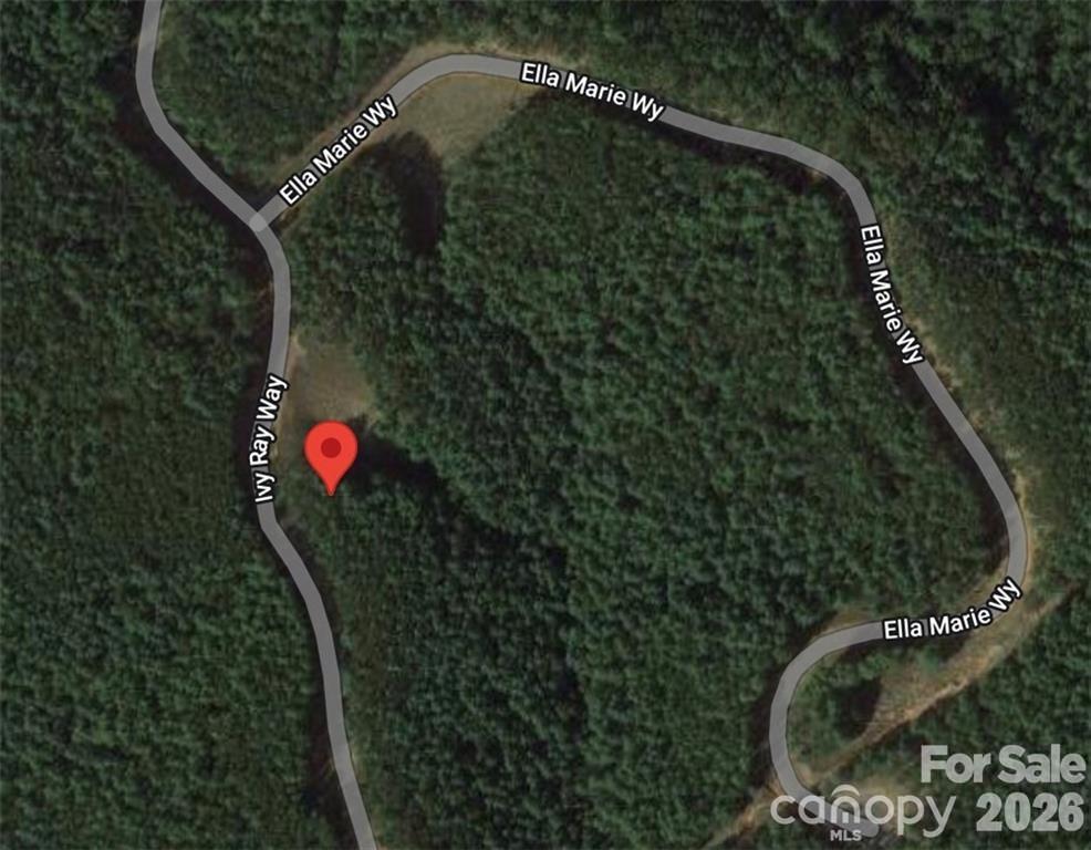 2377 Ivy Rays Way Nebo NC 28761