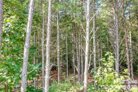 2377 Ivy Rays Way Nebo NC 28761