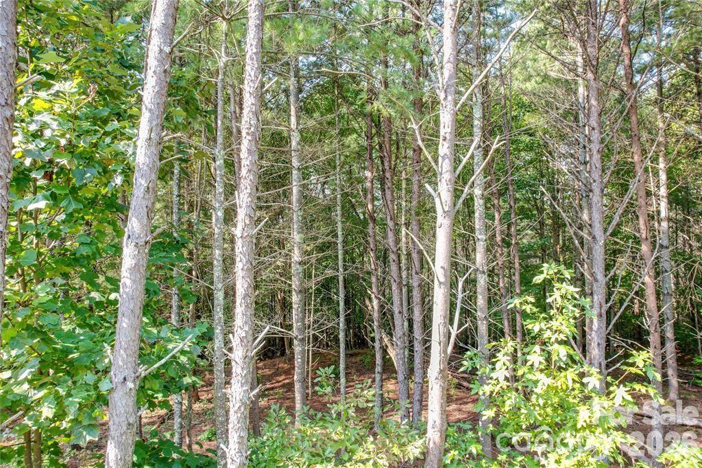 2377 Ivy Rays Way Nebo NC 28761