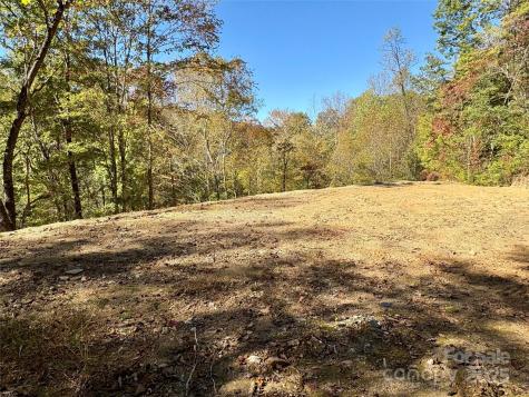 0 Wilkes Road Bryson City NC 28713