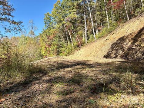 0 Wilkes Road Bryson City NC 28713