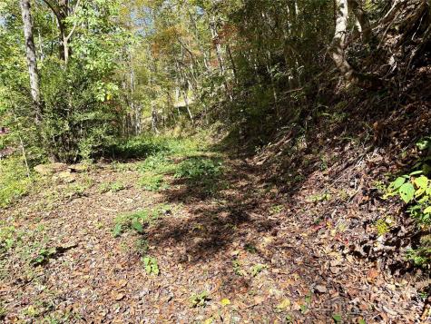 0 Wilkes Road Bryson City NC 28713