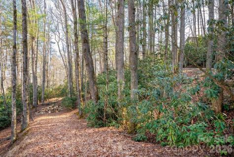 Lot 4-r Middlemount Road Pisgah Forest NC 28768