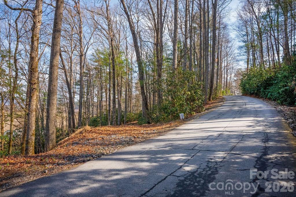 Lot 4-r Middlemount Road Pisgah Forest NC 28768