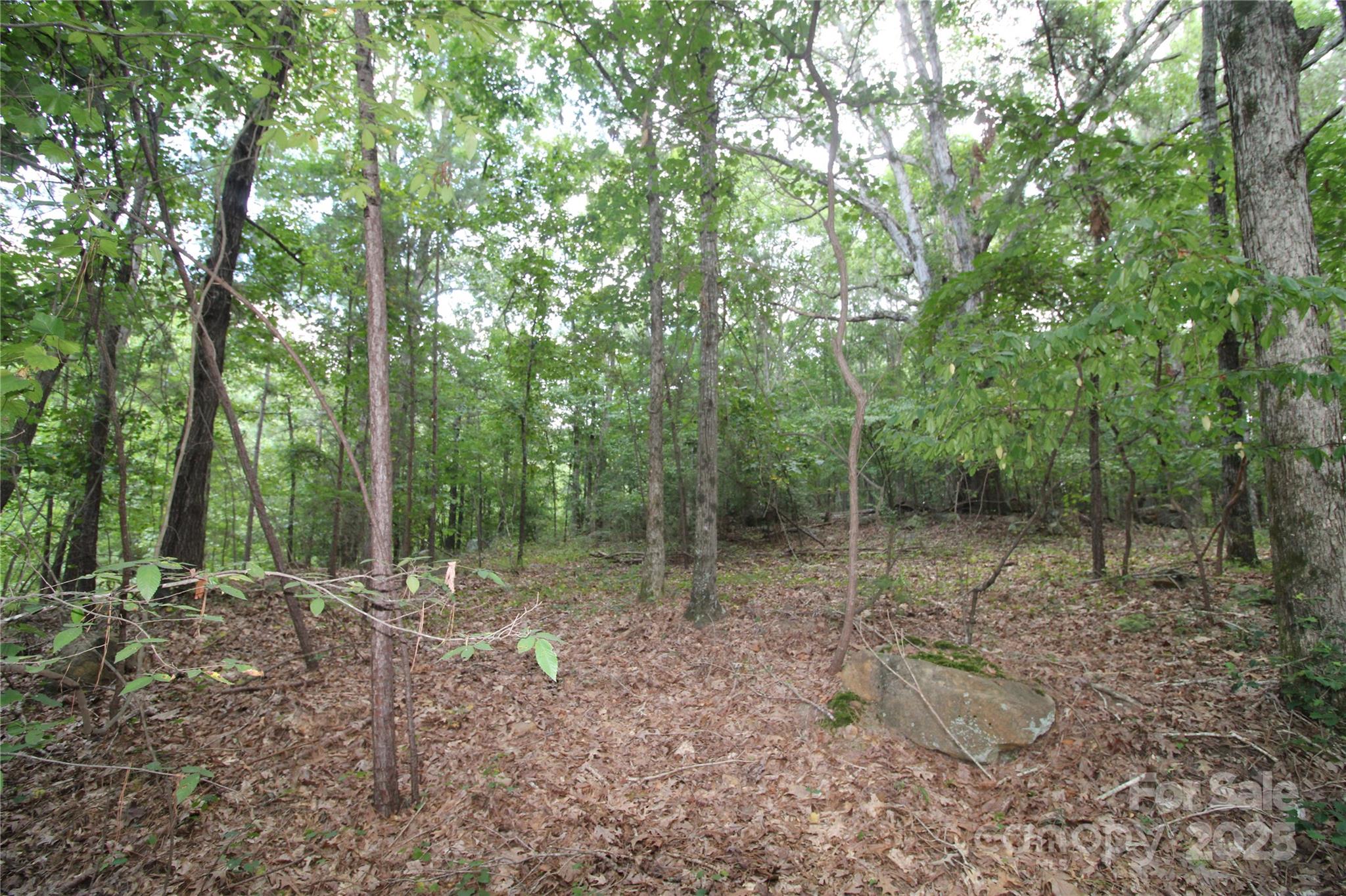 Lot 2 Lake Wylie Drive Rock Hill SC 29732