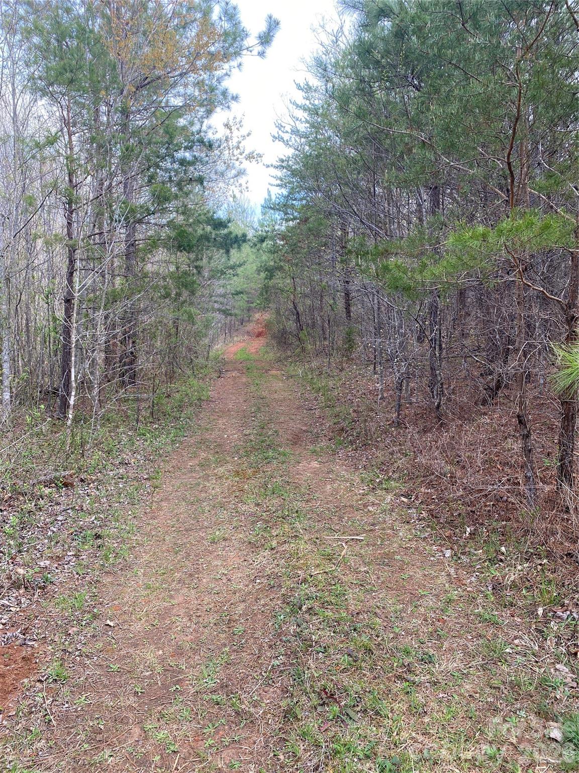 00 Cane Creek Mountain Road Bostic NC 28018