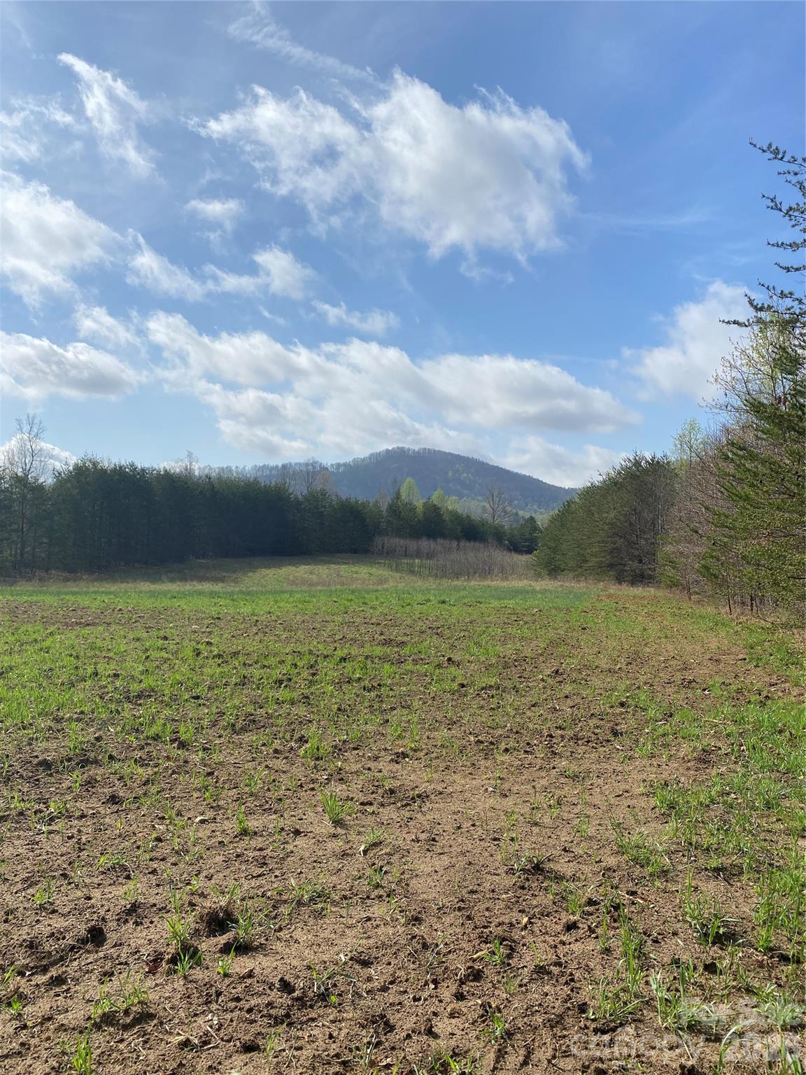 00 Cane Creek Mountain Road Bostic NC 28018