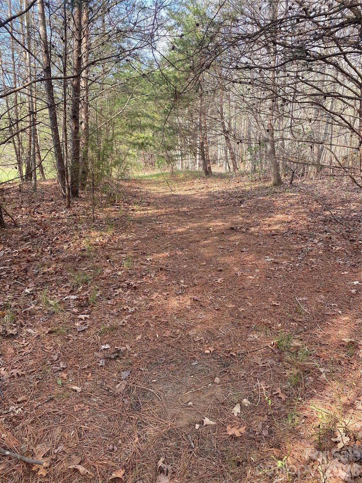 00 Cane Creek Mountain Road Bostic NC 28018