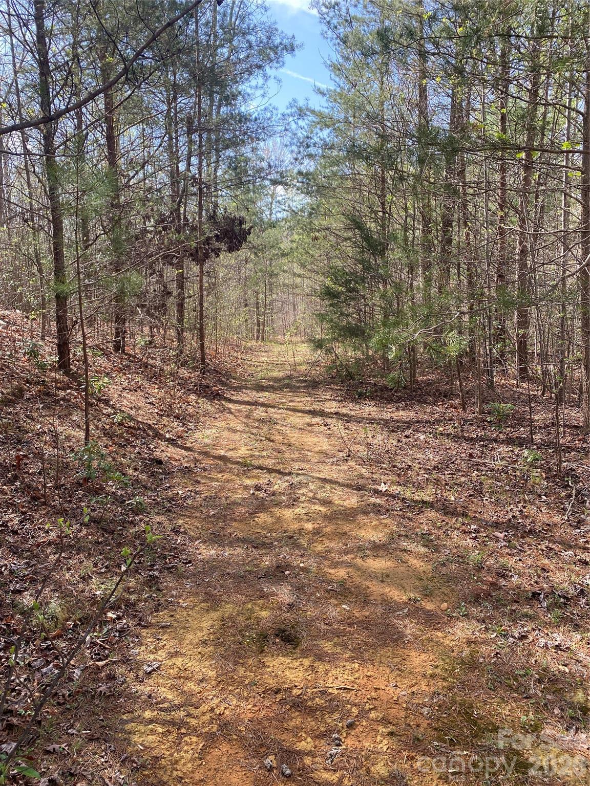 00 Cane Creek Mountain Road Bostic NC 28018