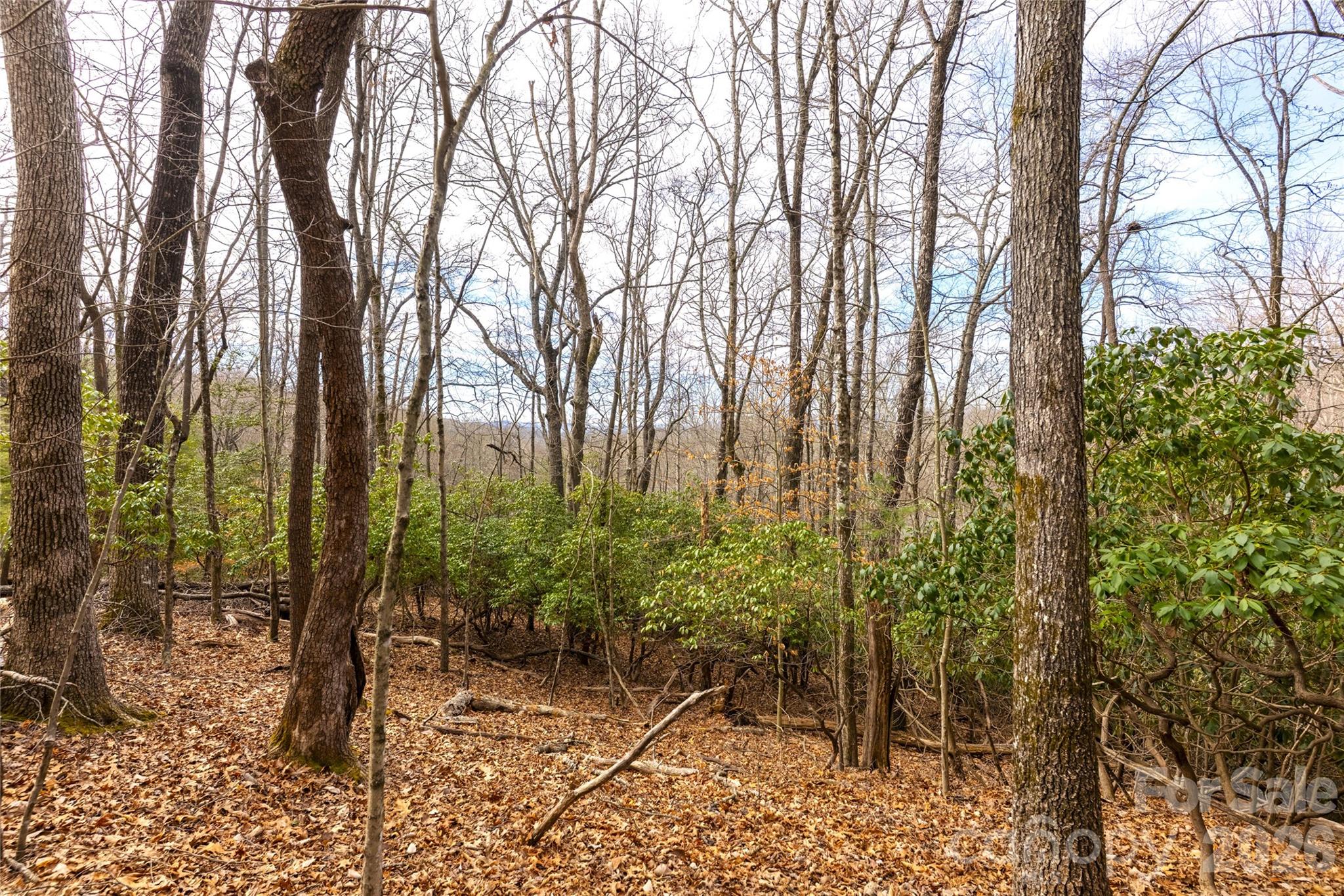 0 Aberdeen Lane Pisgah Forest NC 28768