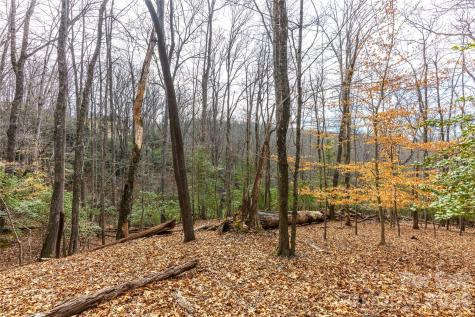 0 Aberdeen Lane Pisgah Forest NC 28768