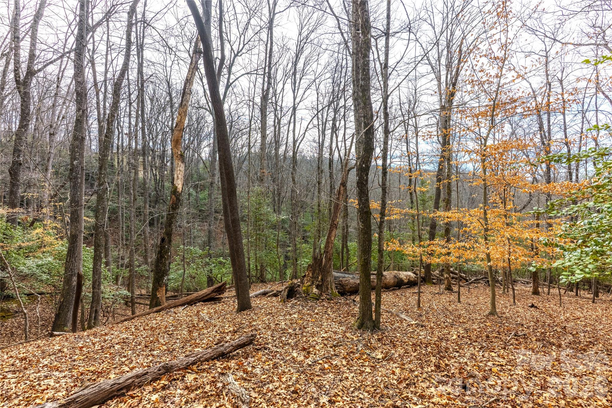 0 Aberdeen Lane Pisgah Forest NC 28768