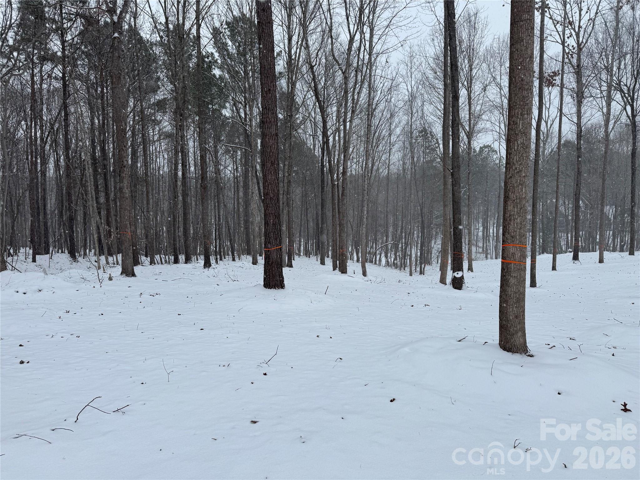 2209 Green View Drive Waxhaw NC 28173