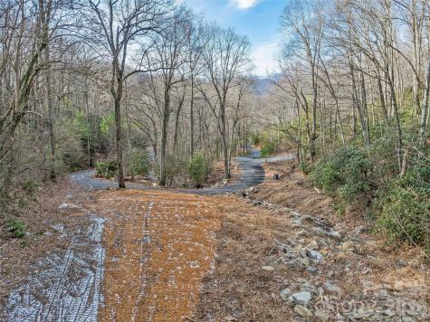 119 Wildflower Cove Drive Swannanoa NC 28778