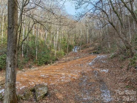 119 Wildflower Cove Drive Swannanoa NC 28778