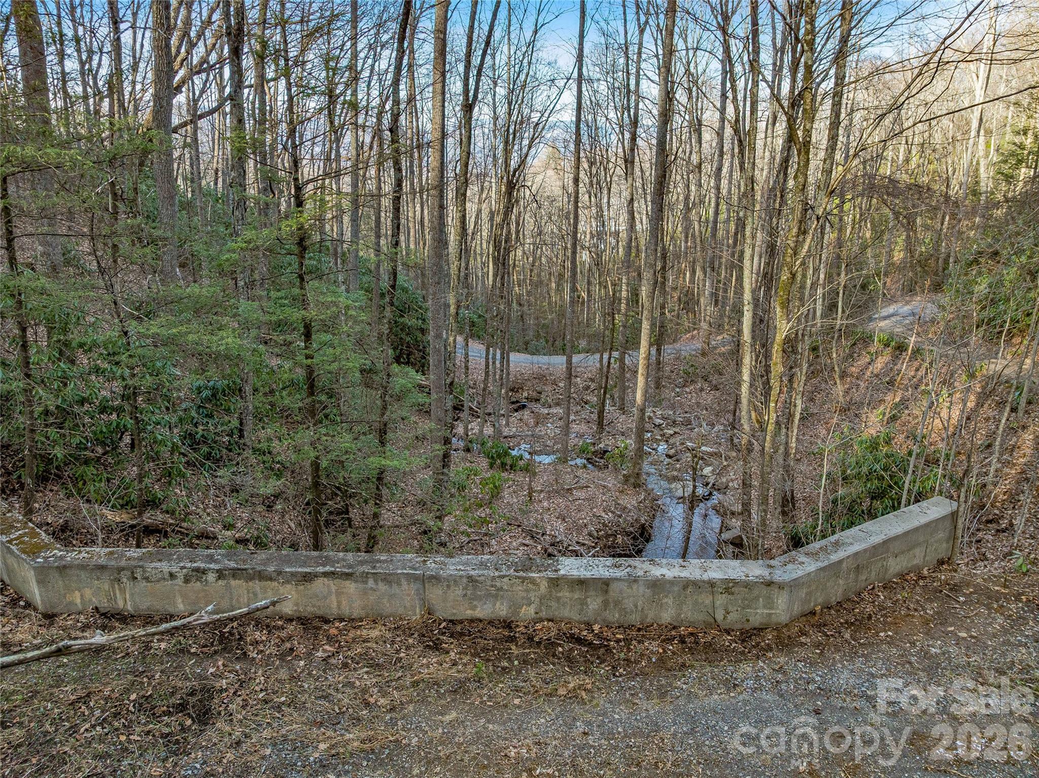 119 Wildflower Cove Drive Swannanoa NC 28778