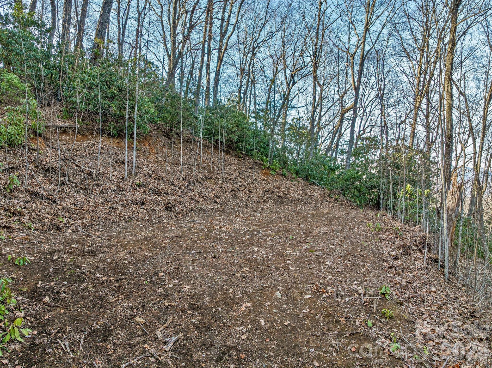 119 Wildflower Cove Drive Swannanoa NC 28778