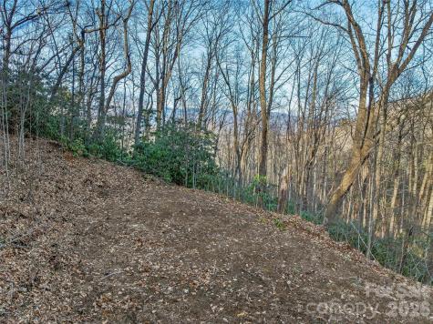 119 Wildflower Cove Drive Swannanoa NC 28778
