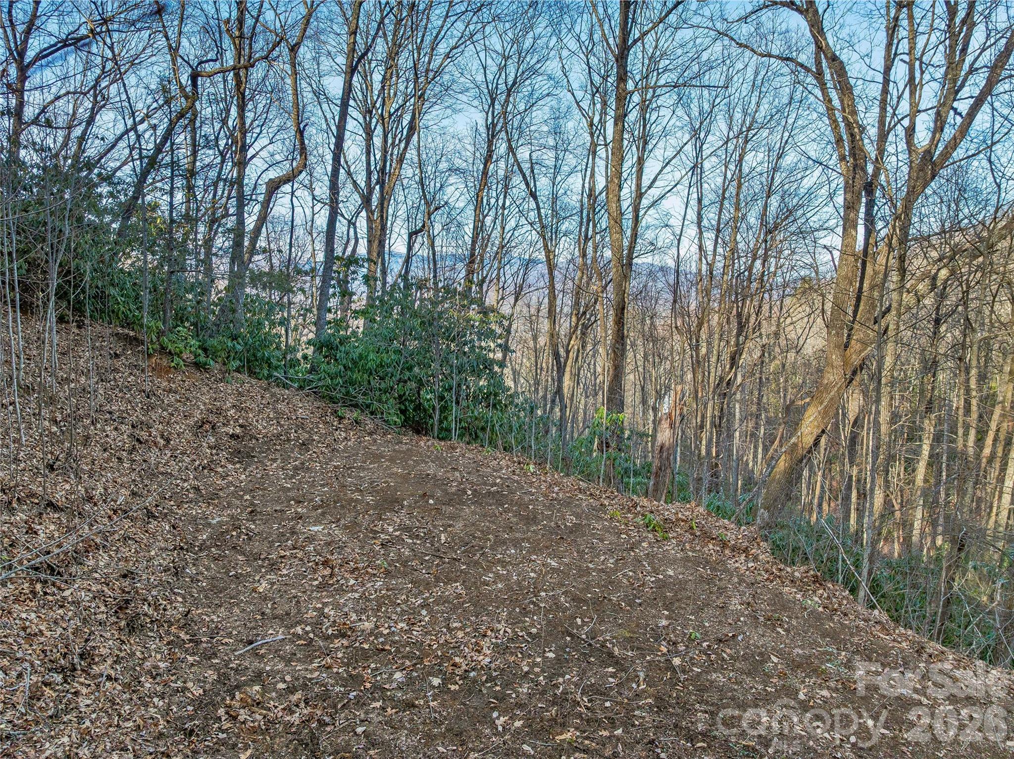 119 Wildflower Cove Drive Swannanoa NC 28778
