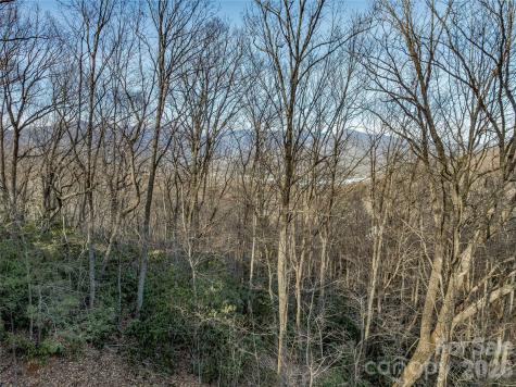 119 Wildflower Cove Drive Swannanoa NC 28778
