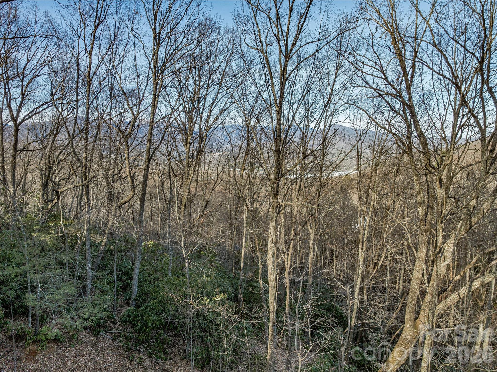 119 Wildflower Cove Drive Swannanoa NC 28778