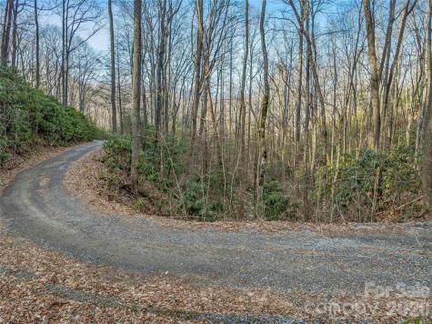 119 Wildflower Cove Drive Swannanoa NC 28778