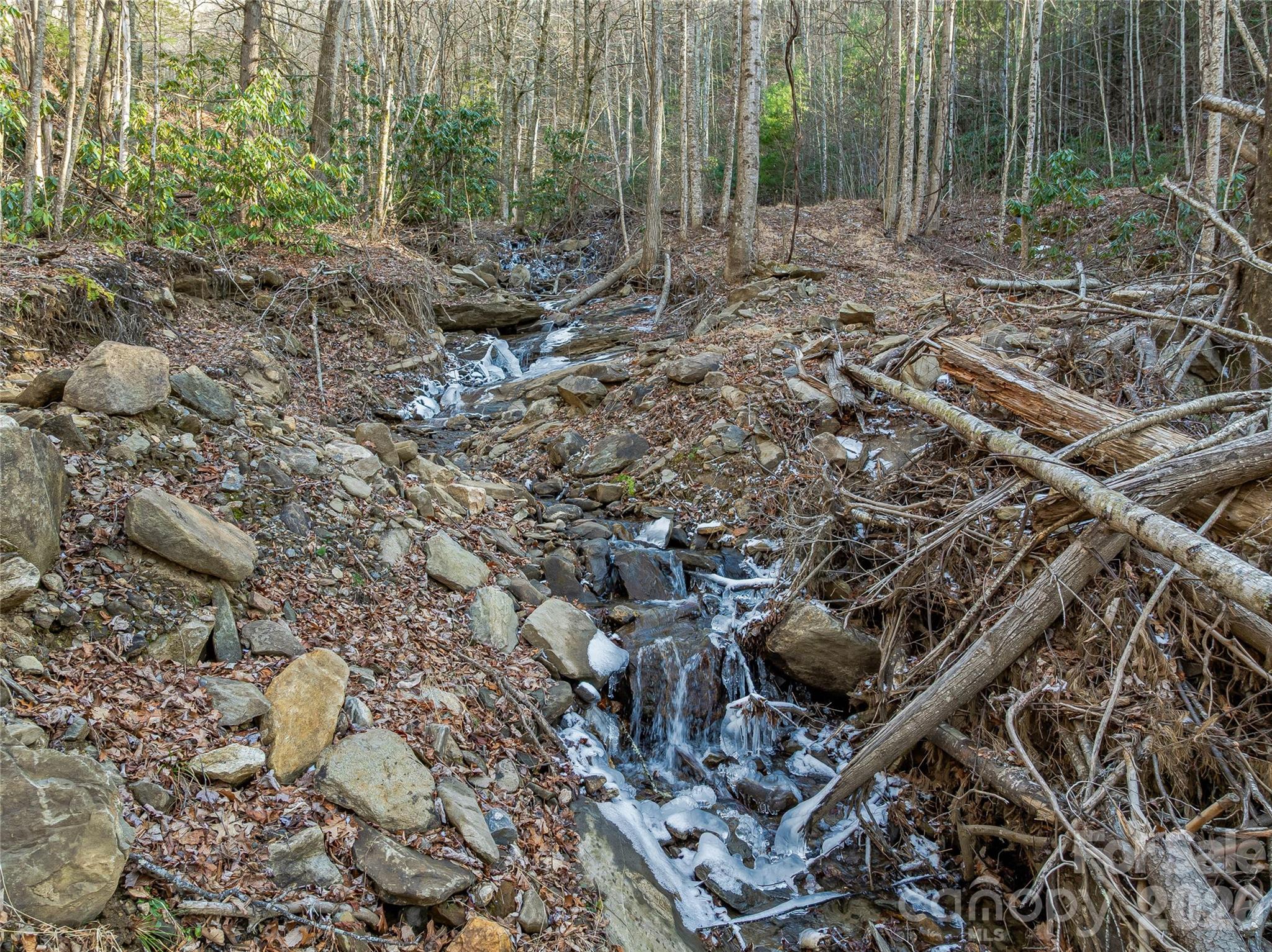 119 Wildflower Cove Drive Swannanoa NC 28778