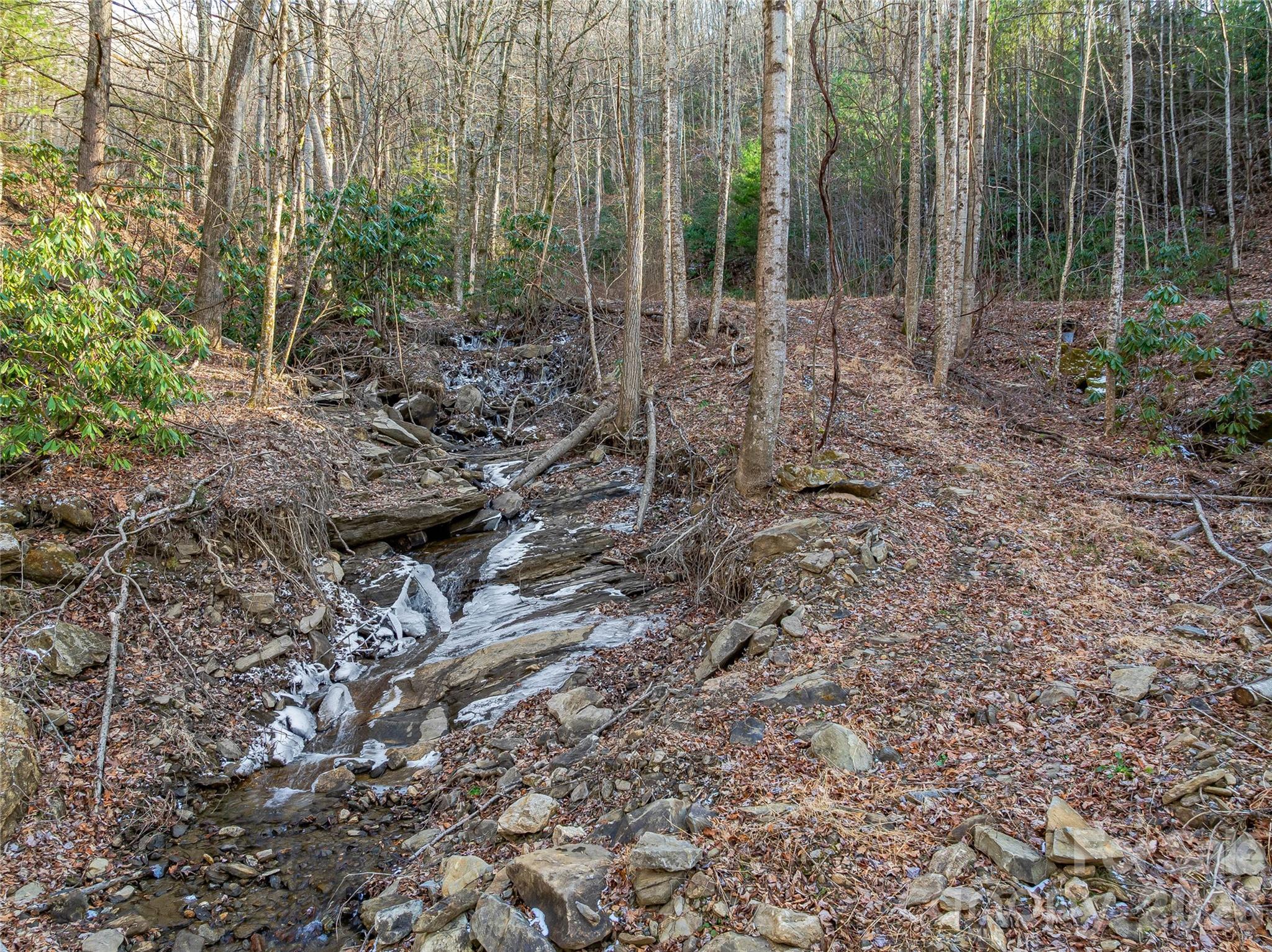 119 Wildflower Cove Drive Swannanoa NC 28778