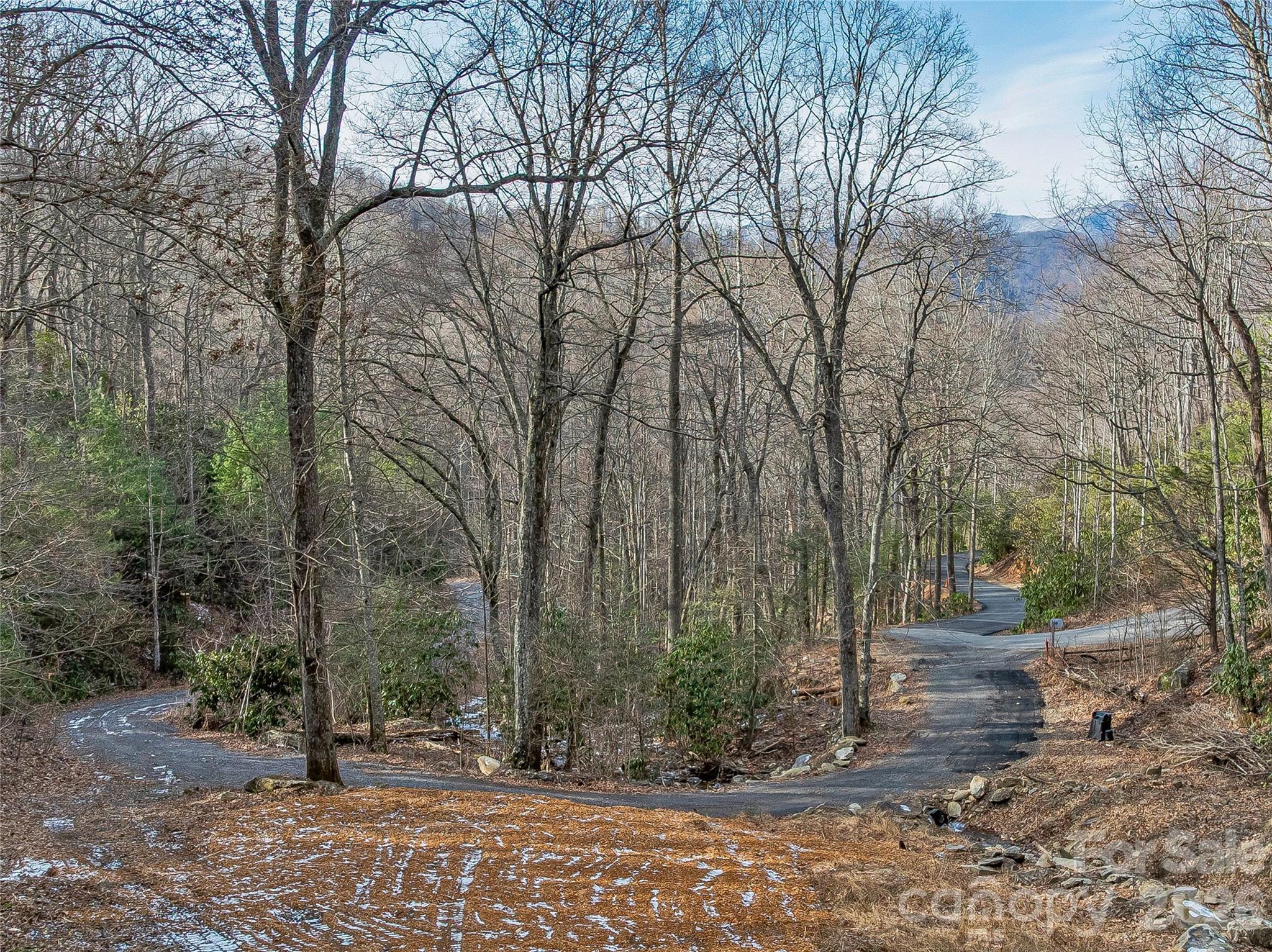 119 Wildflower Cove Drive Swannanoa NC 28778