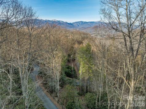 119 Wildflower Cove Drive Swannanoa NC 28778