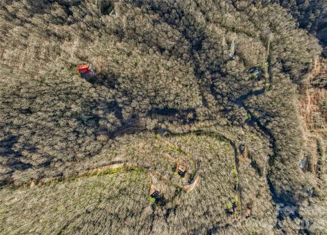 119 Wildflower Cove Drive Swannanoa NC 28778