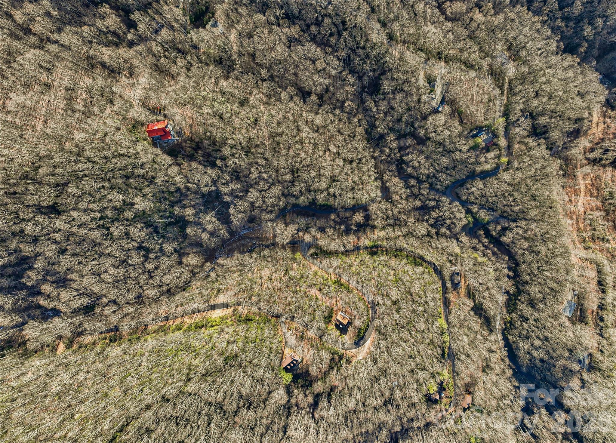 119 Wildflower Cove Drive Swannanoa NC 28778