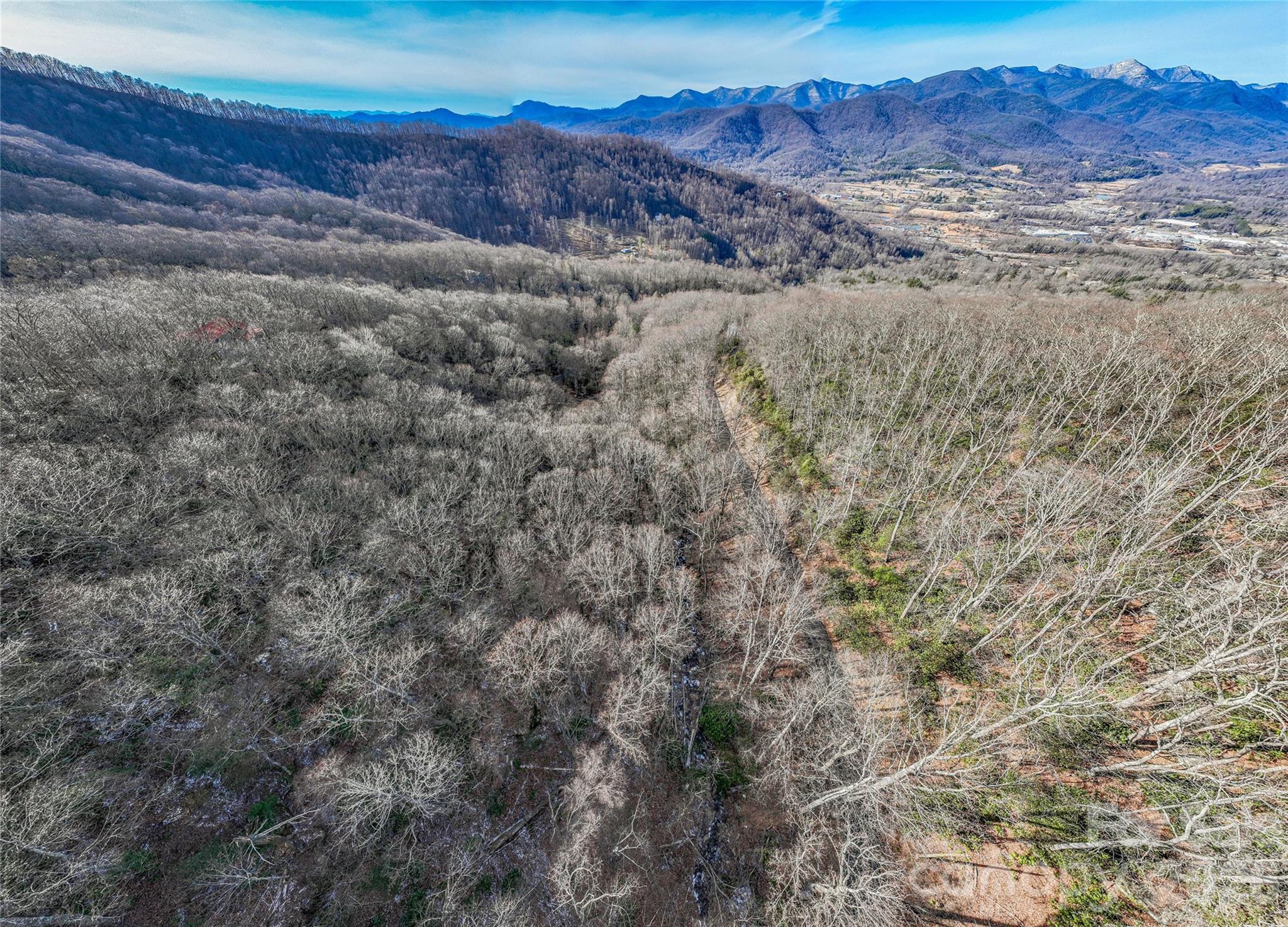 119 Wildflower Cove Drive Swannanoa NC 28778