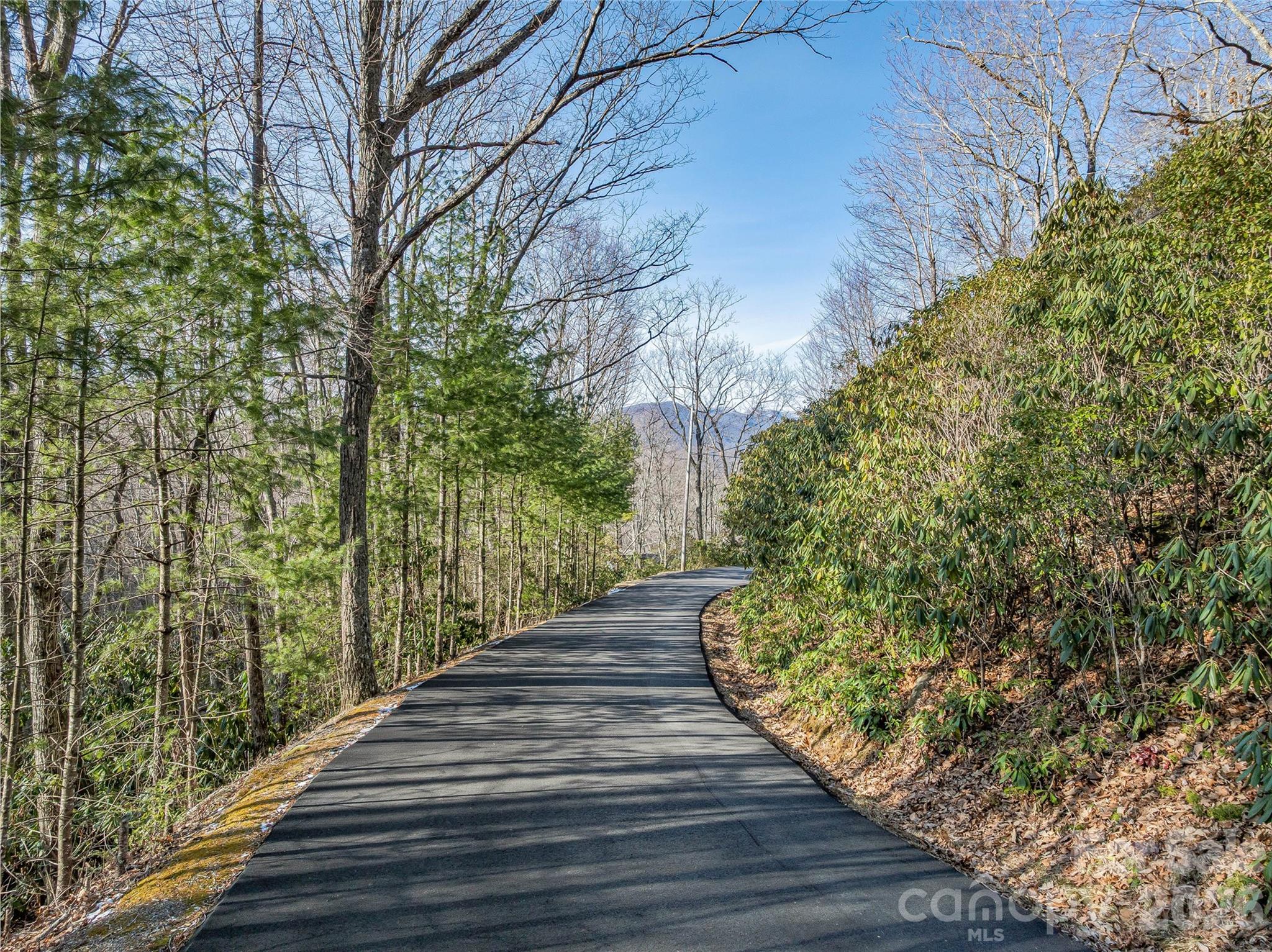 119 Wildflower Cove Drive Swannanoa NC 28778