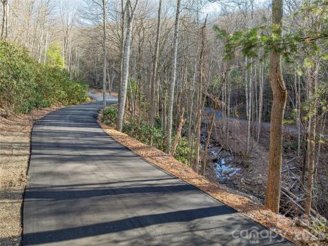 119 Wildflower Cove Drive Swannanoa NC 28778