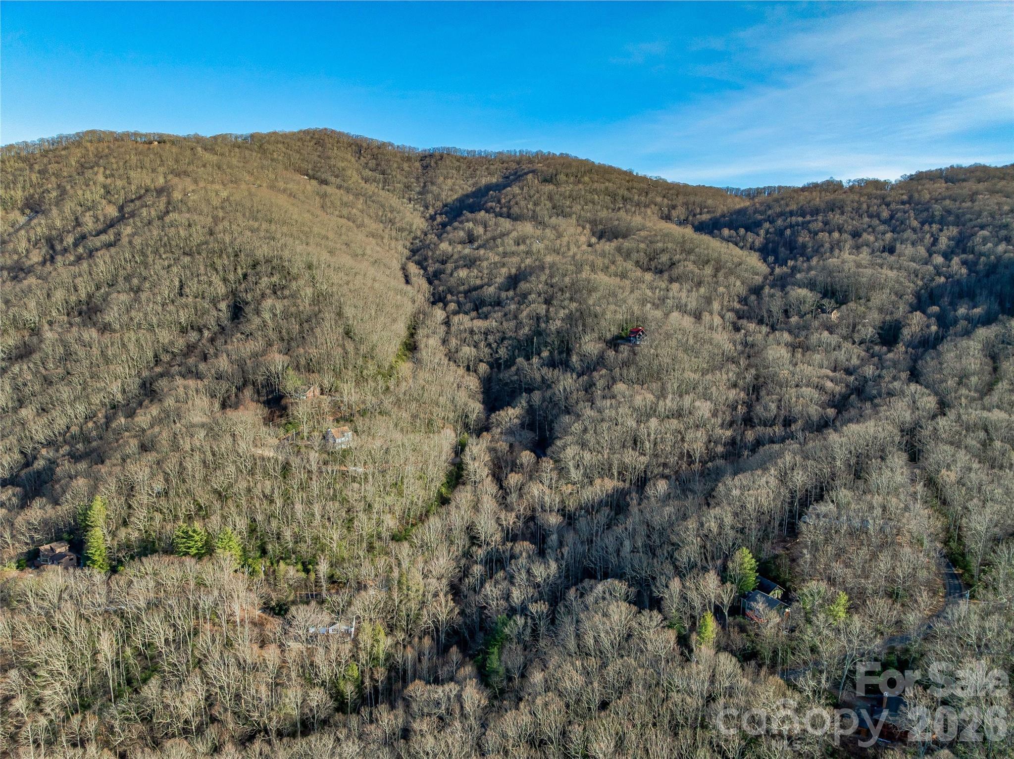 119 Wildflower Cove Drive Swannanoa NC 28778
