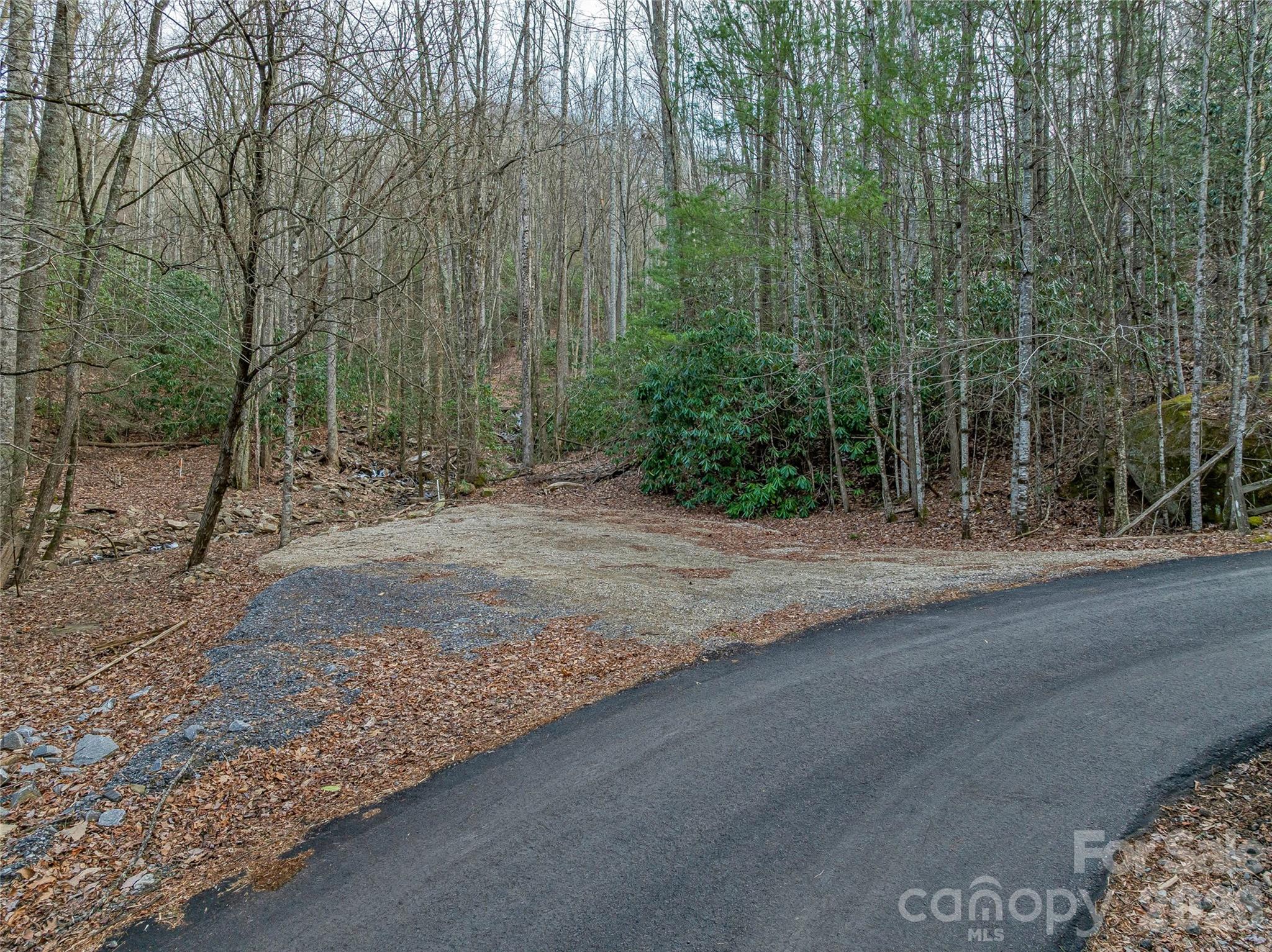 119 Wildflower Cove Drive Swannanoa NC 28778