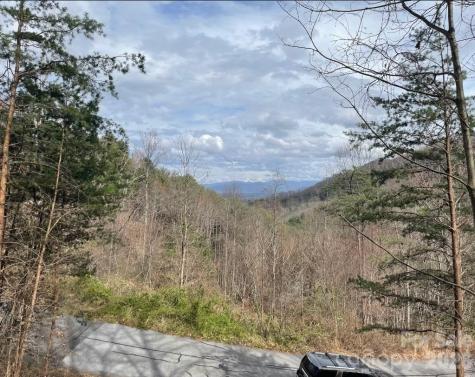 92 Mountain Magnolia Drive Leicester NC 28748