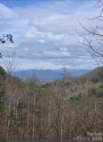 92 Mountain Magnolia Drive Leicester NC 28748
