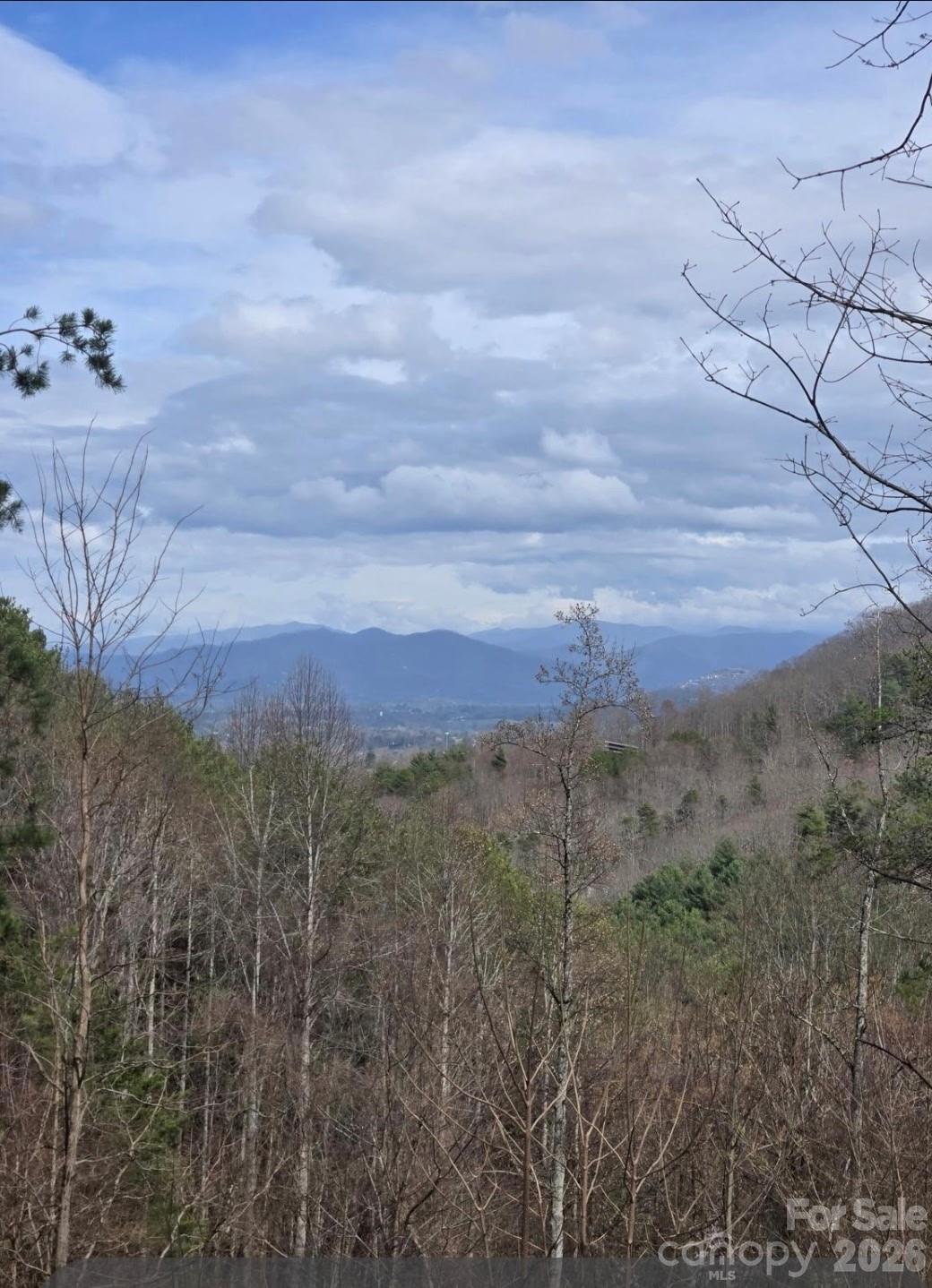 92 Mountain Magnolia Drive Leicester NC 28748