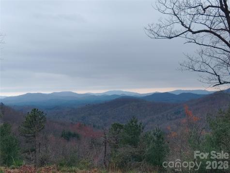 92 Mountain Magnolia Drive Leicester NC 28748