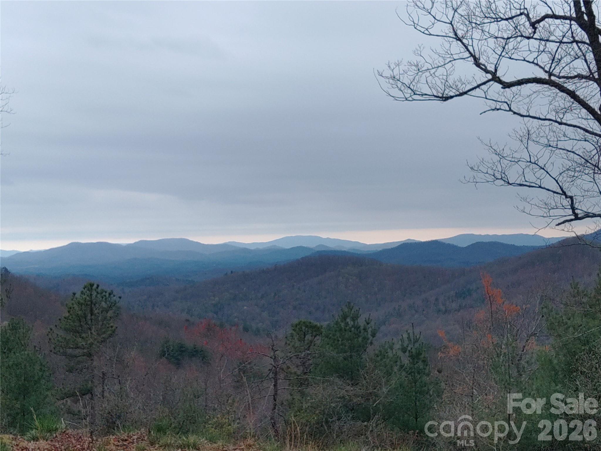 92 Mountain Magnolia Drive Leicester NC 28748