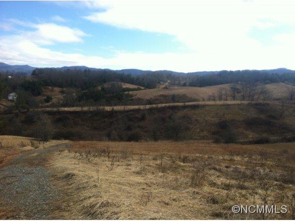 1 East Rolling Meadows Lane Weaverville NC 28787